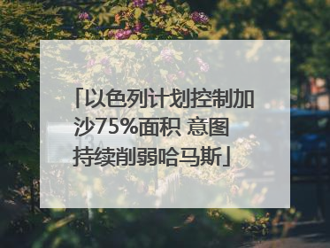 以色列计划控制加沙75%面积 意图持续削弱哈马斯