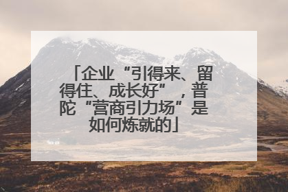 企业“引得来、留得住、成长好”，普陀“营商引力场”是如何炼就的
