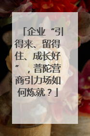 企业“引得来、留得住、成长好”，普陀营商引力场如何炼就？