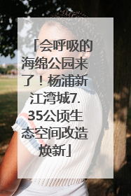 会呼吸的海绵公园来了！杨浦新江湾城7.35公顷生态空间改造焕新