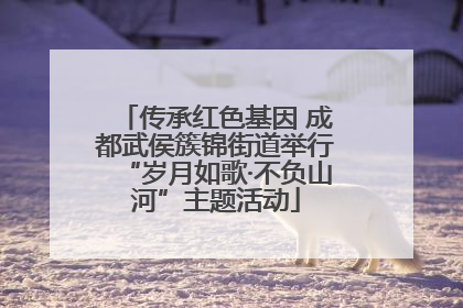 传承红色基因 成都武侯簇锦街道举行“岁月如歌·不负山河”主题活动
