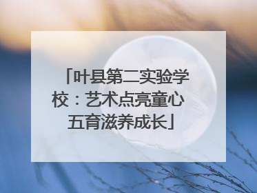 叶县第二实验学校：艺术点亮童心 五育滋养成长