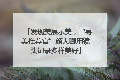 发现美展示美，“寻美推荐官”颜大卿用镜头记录多样美好