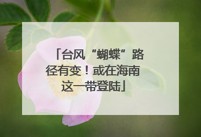 台风“蝴蝶”路径有变！或在海南这一带登陆