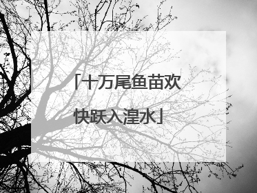 十万尾鱼苗欢快跃入湟水