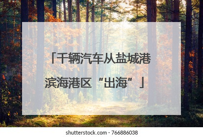 千辆汽车从盐城港滨海港区“出海”