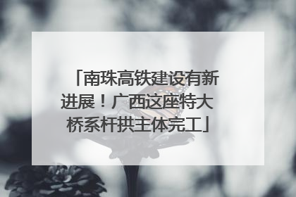 南珠高铁建设有新进展！广西这座特大桥系杆拱主体完工