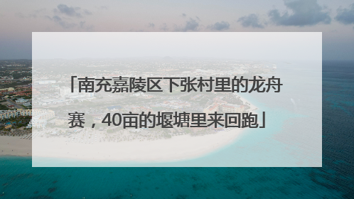 南充嘉陵区下张村里的龙舟赛，40亩的堰塘里来回跑