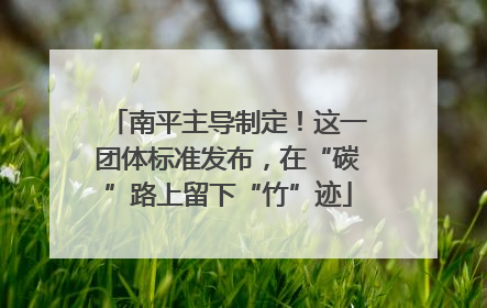 南平主导制定！这一团体标准发布，在“碳”路上留下“竹”迹