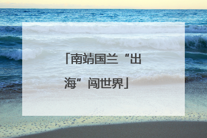 南靖国兰“出海”闯世界