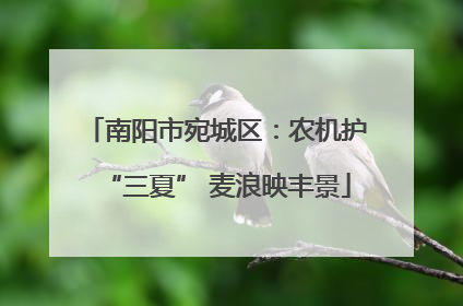 南阳市宛城区：农机护“三夏” 麦浪映丰景