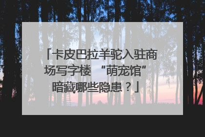 卡皮巴拉羊驼入驻商场写字楼 “萌宠馆”暗藏哪些隐患？