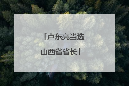卢东亮当选山西省省长