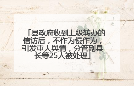 县政府收到上级转办的信访后，不作为慢作为，引发重大舆情，分管副县长等25人被处理