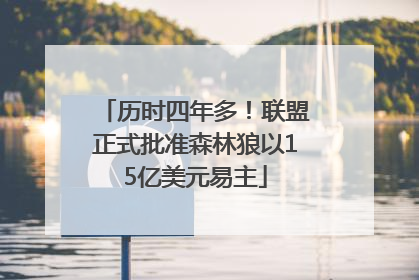 历时四年多！联盟正式批准森林狼以15亿美元易主