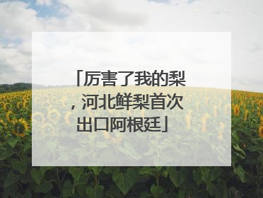 厉害了我的梨，河北鲜梨首次出口阿根廷