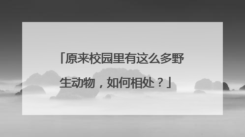 原来校园里有这么多野生动物，如何相处？