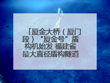 厦金大桥（厦门段）“厦金号”盾构机始发 福建省最大直径盾构隧道正式掘进