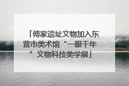傅家遗址文物加入东营市美术馆“一眼千年”文物科技美学展