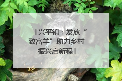 兴平镇：发放“致富羊”助力乡村振兴启新程