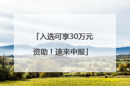 入选可享30万元资助！速来申报