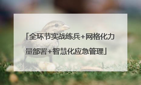 全环节实战练兵+网格化力量部署+智慧化应急管理