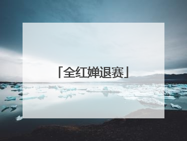 全红婵退赛