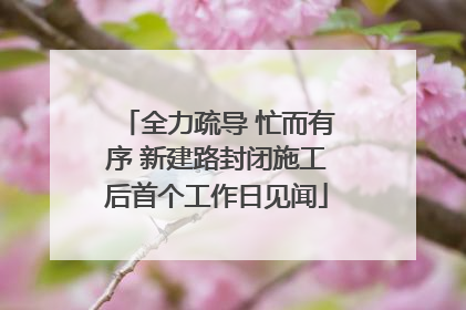 全力疏导 忙而有序 新建路封闭施工后首个工作日见闻
