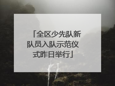 全区少先队新队员入队示范仪式昨日举行