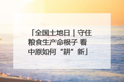 全国土地日｜守住粮食生产命根子 看中原如何“耕”新