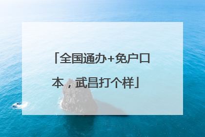 全国通办+免户口本，武昌打个样