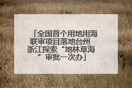 全国首个用地用海联审项目落地台州 浙江探索“地林草海”审批一次办