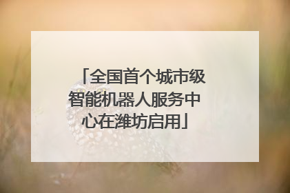全国首个城市级智能机器人服务中心在潍坊启用