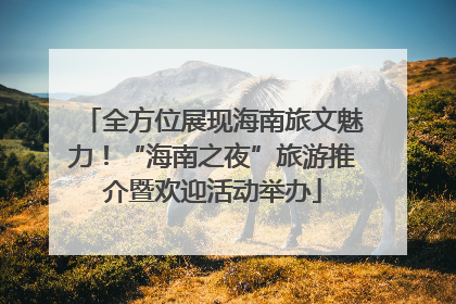 全方位展现海南旅文魅力！“海南之夜”旅游推介暨欢迎活动举办