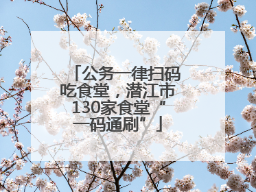 公务一律扫码吃食堂，潜江市130家食堂“一码通刷”