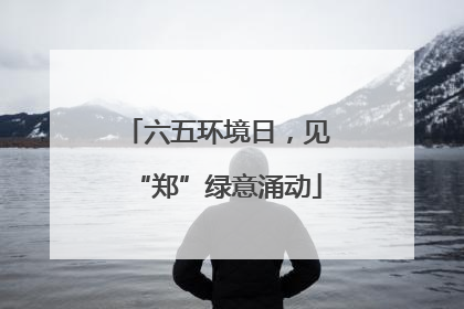 六五环境日，见“郑”绿意涌动