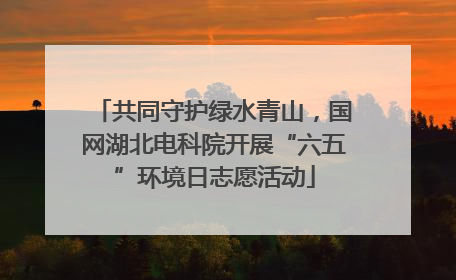 共同守护绿水青山，国网湖北电科院开展“六五”环境日志愿活动
