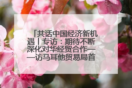 共话中国经济新机遇丨专访：期待不断深化对华经贸合作——访马耳他贸易局首席执行官布蒂吉格