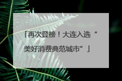 再次登榜！大连入选“美好消费典范城市”