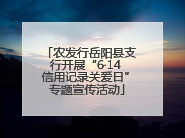 农发行岳阳县支行开展“6·14信用记录关爱日” 专题宣传活动