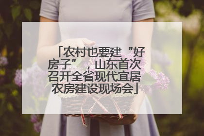 农村也要建“好房子”，山东首次召开全省现代宜居农房建设现场会