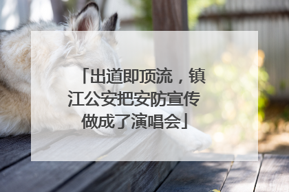 出道即顶流，镇江公安把安防宣传做成了演唱会