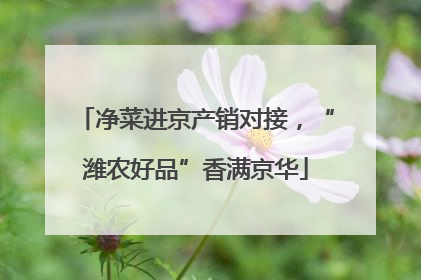 净菜进京产销对接，“潍农好品”香满京华