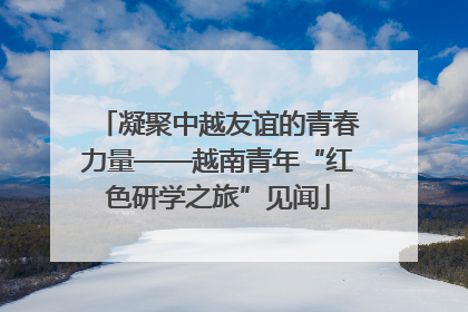凝聚中越友谊的青春力量——越南青年“红色研学之旅”见闻