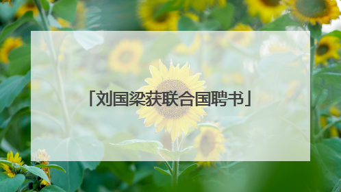 刘国梁获联合国聘书