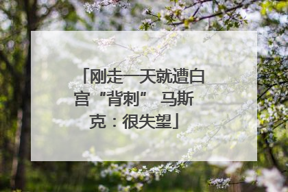 刚走一天就遭白宫“背刺” 马斯克：很失望