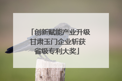 创新赋能产业升级 甘肃玉门企业斩获省级专利大奖