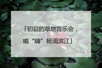 初夏的草地音乐会，唱“嗨”杨浦滨江