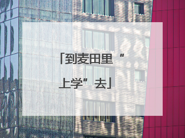 到麦田里“上学”去