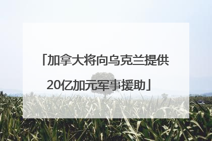 加拿大将向乌克兰提供20亿加元军事援助